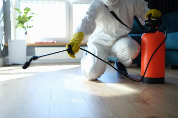 Reliable Odor Removal contractor in Marshfield, MO by Trauma Clean Pros